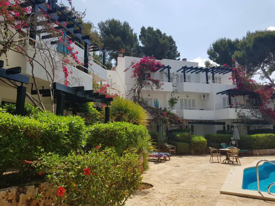 Apartamentos Los Tilos Пегера Екстер'єр фото